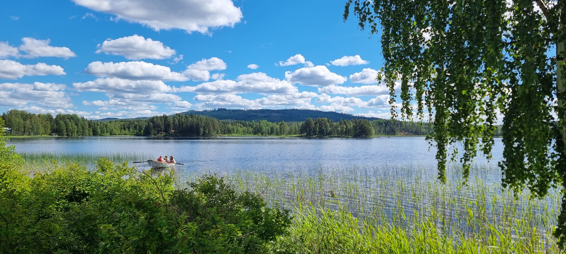 Roddbåt på sjön Liljan en sommardag